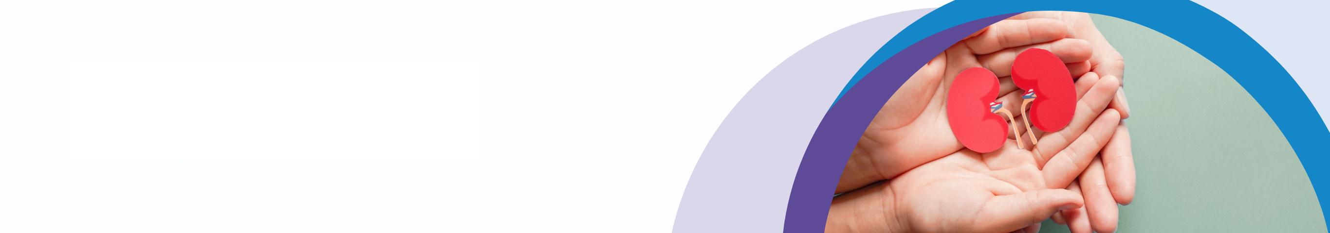 Roke, ki držijo pomanjšano ledvico